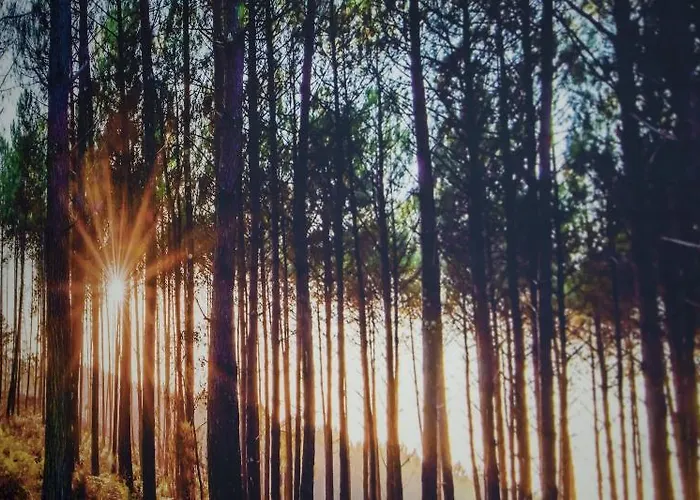 Clos Castel * Casteljaloux